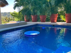 A swimming pool with a blue tiled edge, surrounded by large terracotta planters and palm trees.