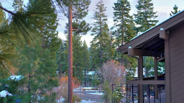 A building with a covered outdoor area, surrounded by tall evergreen trees and a snowy ground.