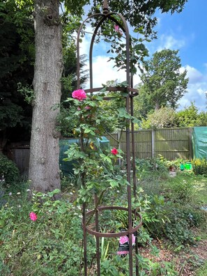 Details aan de buitenkant