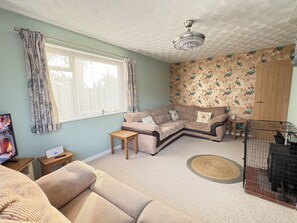 Smart-tv, een open haard, een dvd-speler en boeken