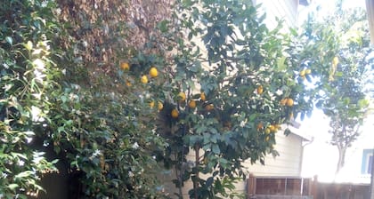 Charming house in tranquil San Jose perfect for your getaway. 4BR/3B Gr8 loc Gar