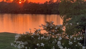 Un coucher de soleil sur un lac paisible, avec des arbres et une zone herbeuse au premier plan.