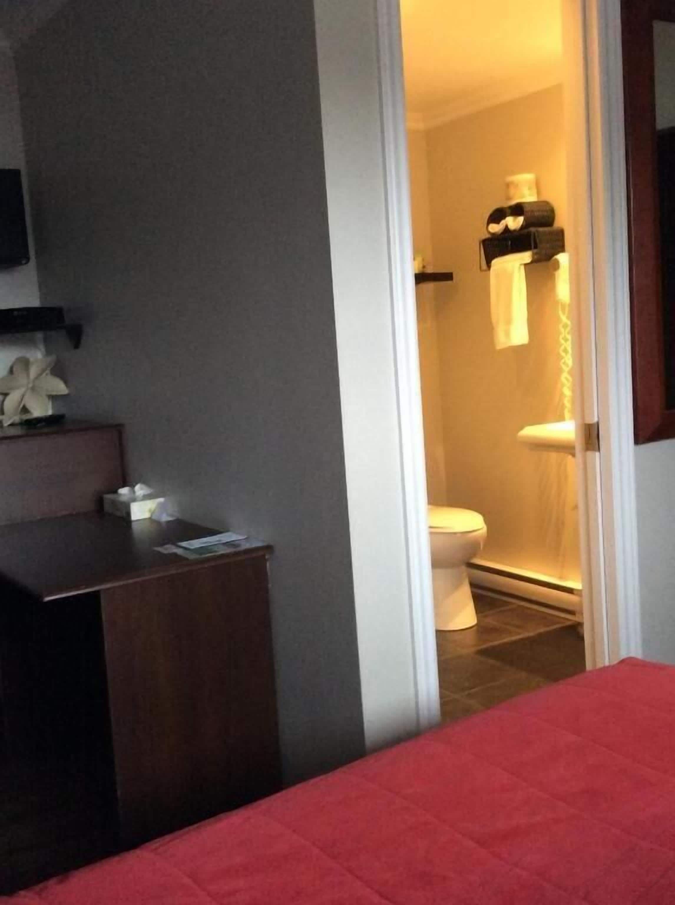 Economy Double Room, Balcony, Courtyard View | Iron/ironing board, free WiFi