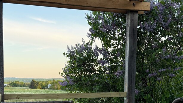 A wooden deck with wicker chairs and a black table, overlooking a garden with purple flowers. - Cozy 3-bedroom rustic lodge in Island Falls perfect for your getaway (Island Falls)