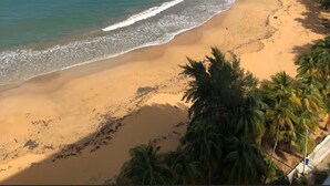 A beach with clear blue water, a sandy shore, and palm trees. - -- NEW -- Paradise & Luxury II Seaside Sanctuary Ocean Views & Fully Renovated (Luquillo)