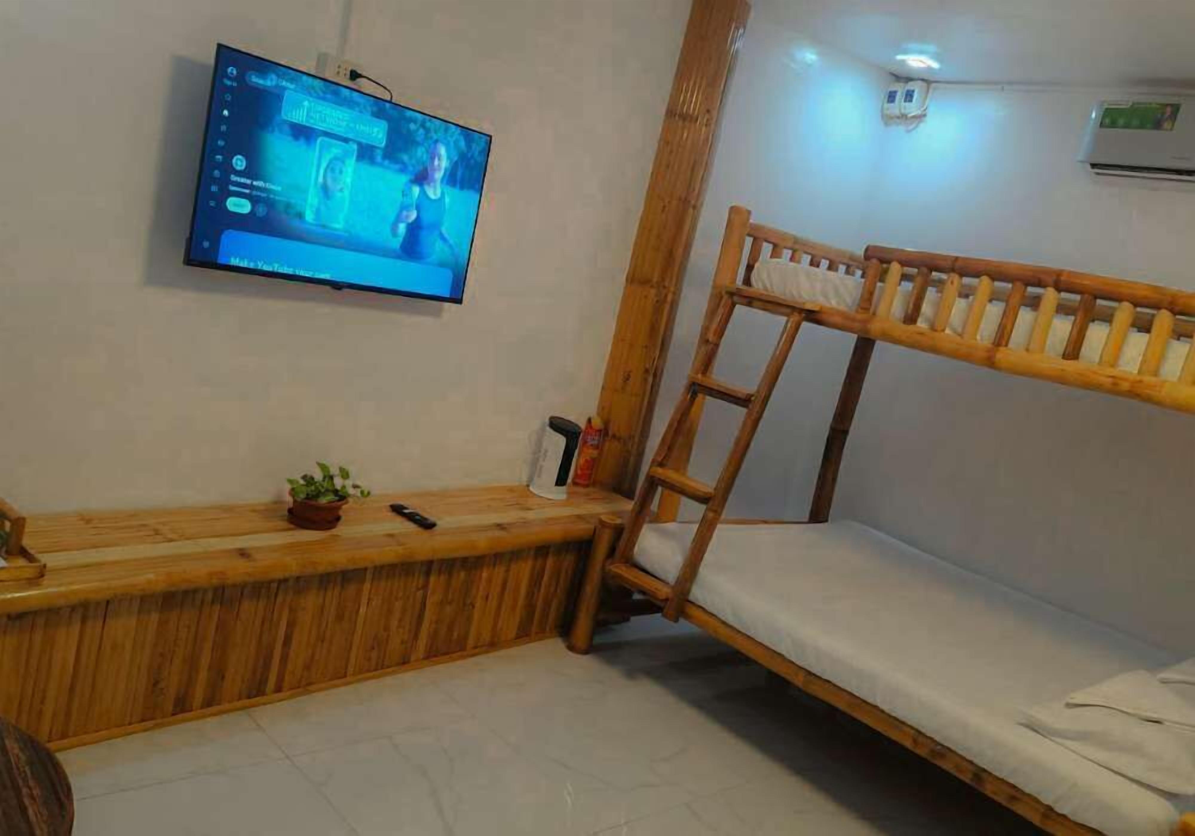 A room with a wooden bunk bed, a wooden desk with a plant, a television mounted on the wall, and a ladder leading to the bunk bed.