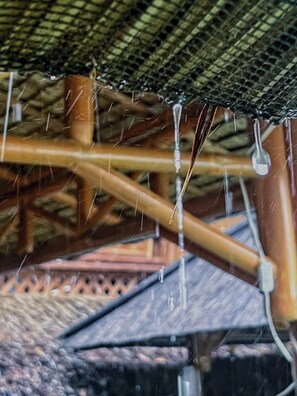 Miscellaneous - Bamboo Grove Royale by Hiverooms (Bogo City)