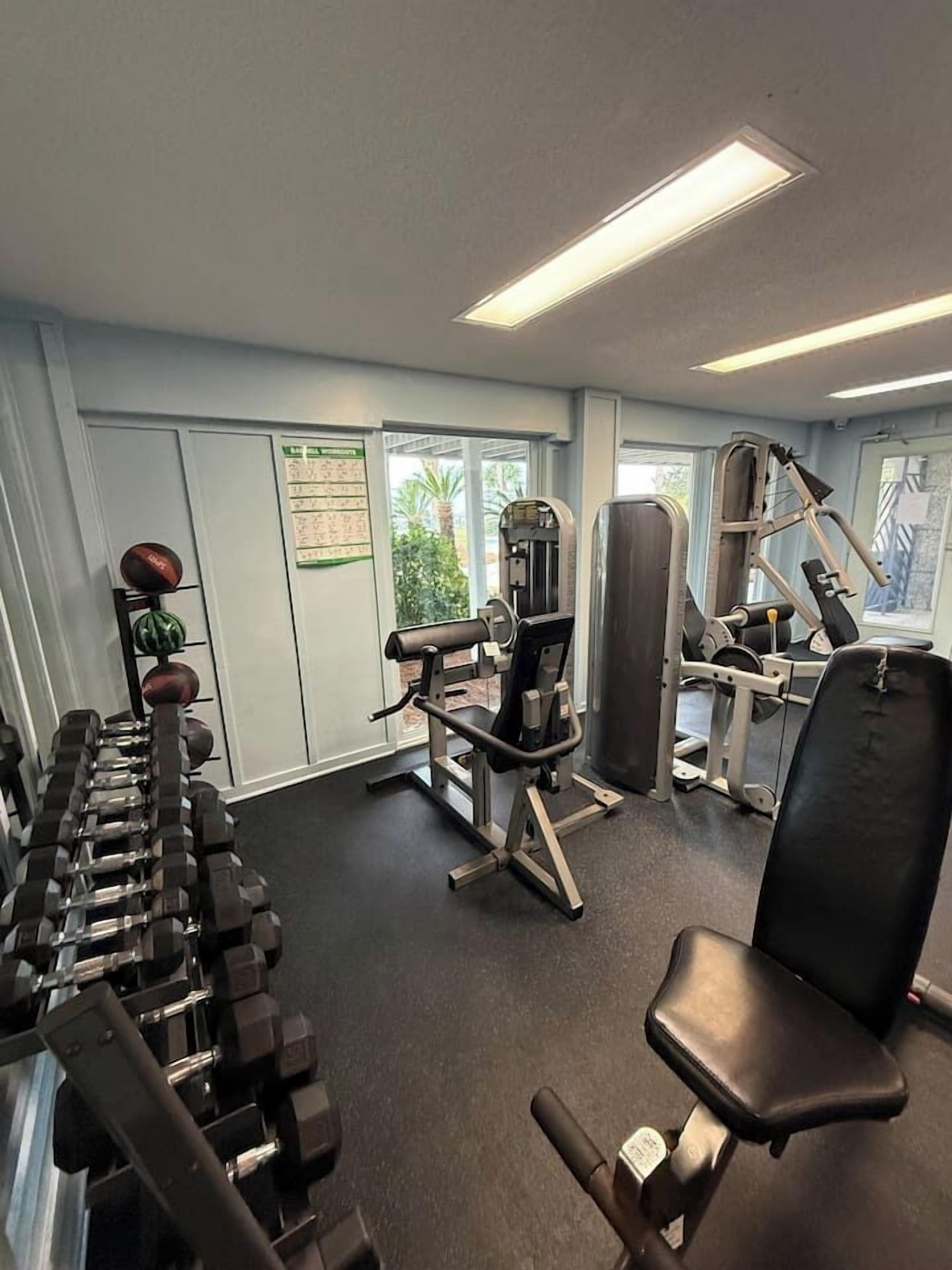 Une salle de sport équipée de matériel d’exercice, d’un banc de musculation et d’une fenêtre donnant sur un espace verdoyant.