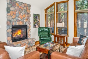 Smart TV, chimenea y libros 