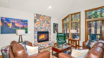 Smart TV, fireplace, books