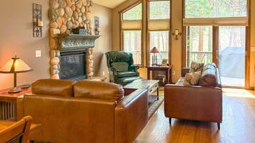 Smart TV, fireplace, books