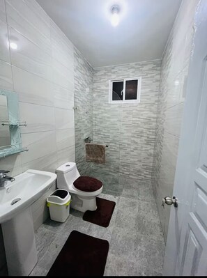Shower, towels, soap, toilet paper