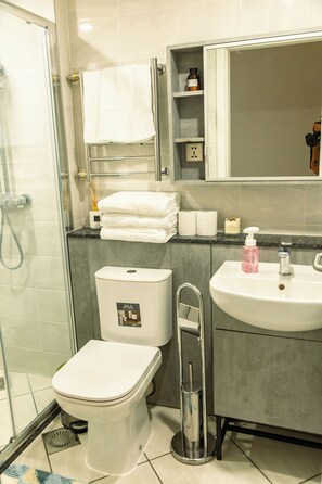 Shower, hair dryer, towels, soap