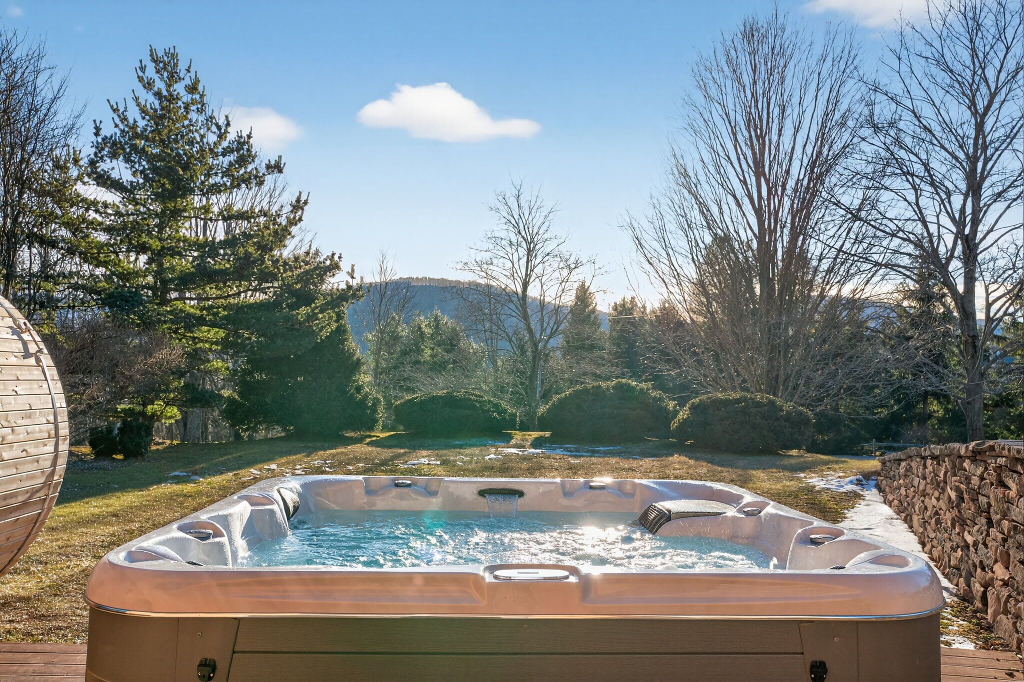 Un bain à remous dans un jardin, avec vue sur les arbres et une montagne.