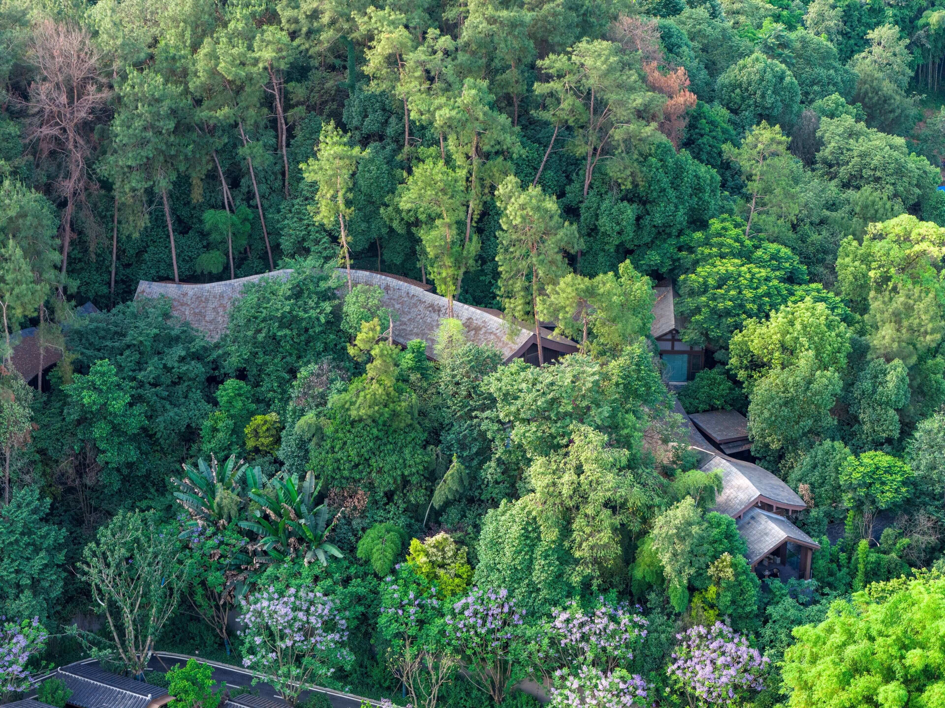 A lush forested area with a stone bridge and traditional wooden structures.