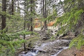 Ein bewaldetes Gebiet mit einem kleinen Bach, dichtem Baumbestand und einer entfernten Holzhütte.