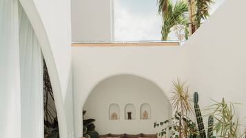A pool area with a white wall, a sofa with cushions, and various plants.