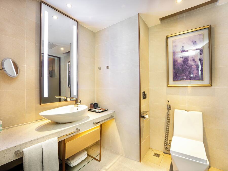A modern bathroom with a large sink, mirror, and toilet.
