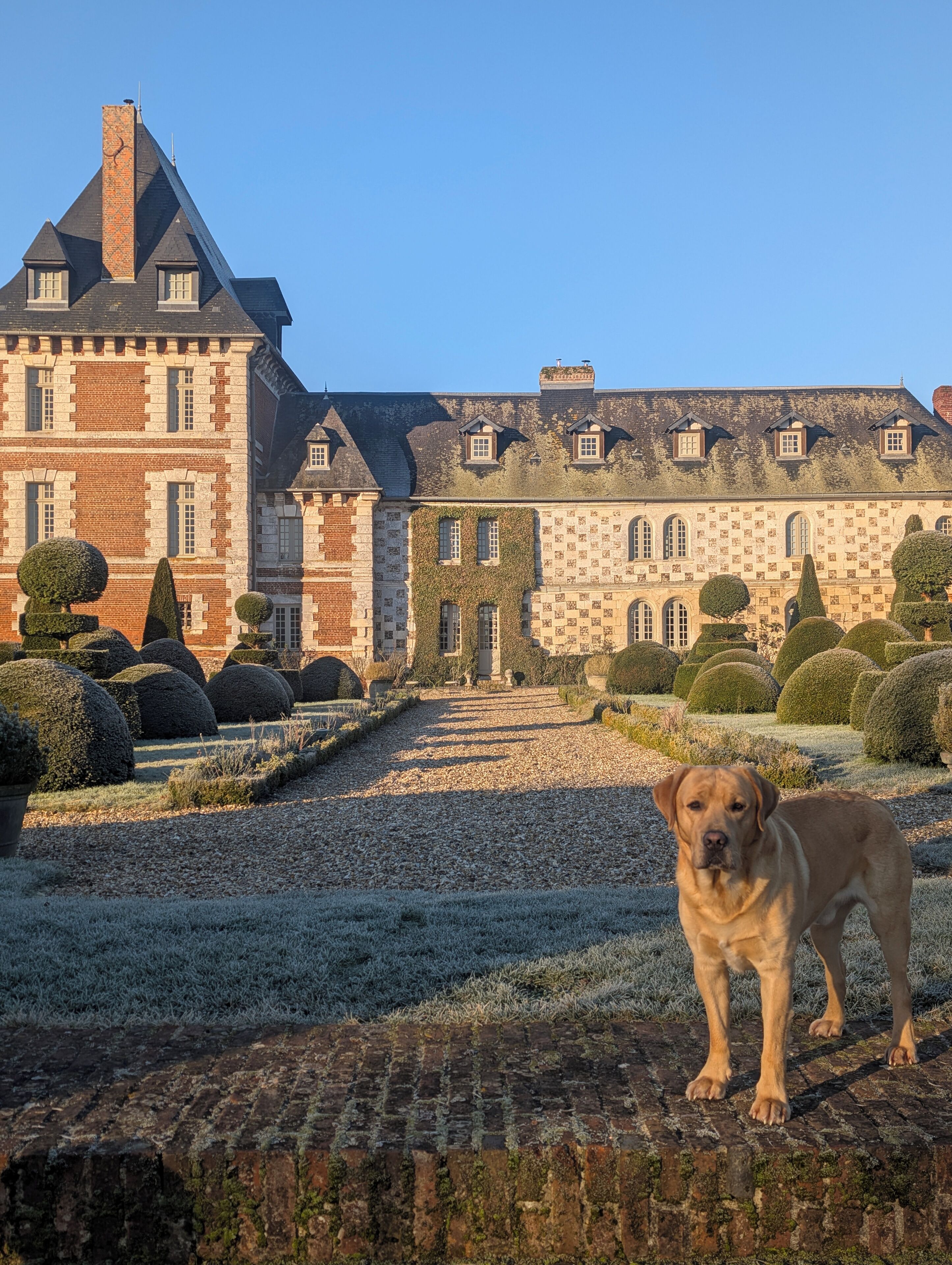 Terrein van de accommodatie