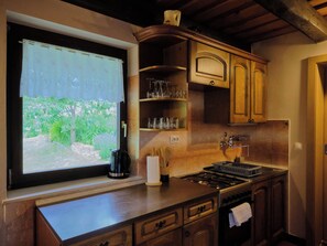 Fridge, microwave, oven, cookware/dishes/utensils - Vacation home Boris by Interhome (Ljutomer)