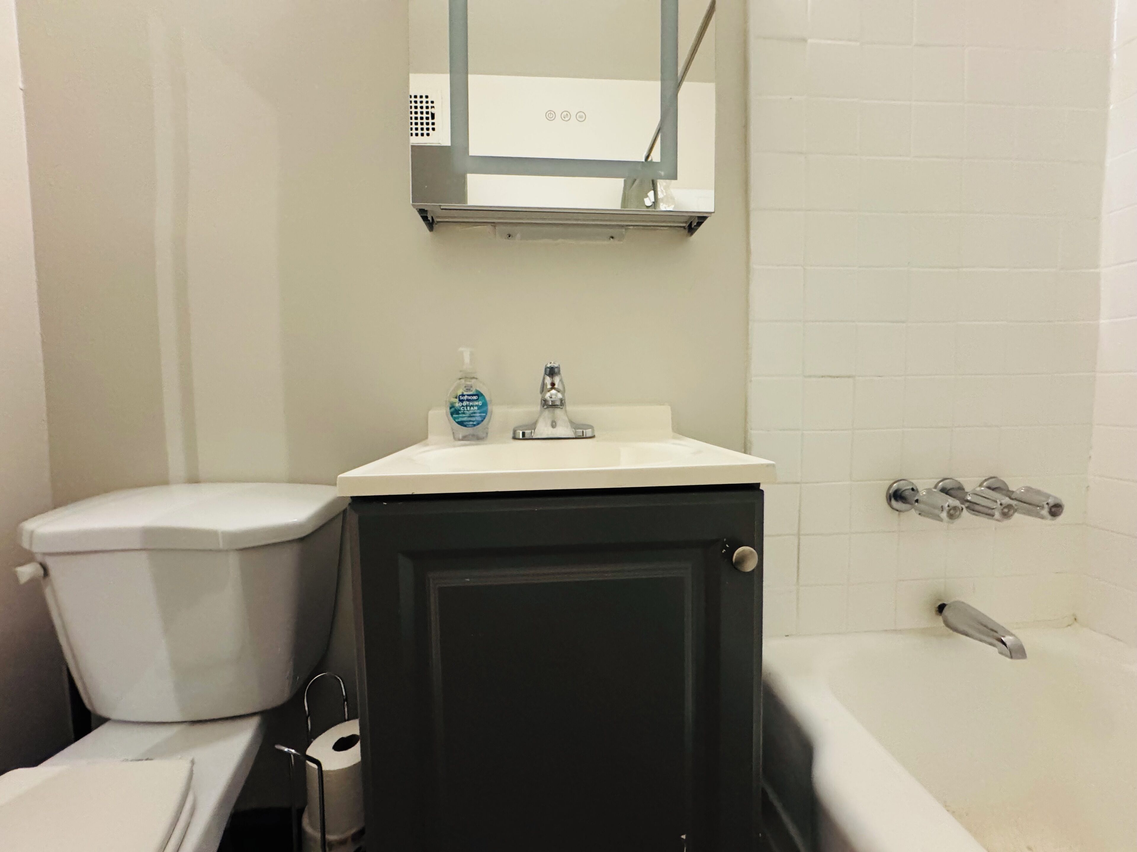 Hair dryer, towels, soap, toilet paper