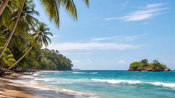 Une plage bordée de palmiers, avec une eau d’un bleu cristallin et une petite île qui se dessine à l’horizon.
