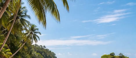 Ein Strand mit Palmen, klarem, blauem Wasser und einer kleinen Insel in der Ferne.