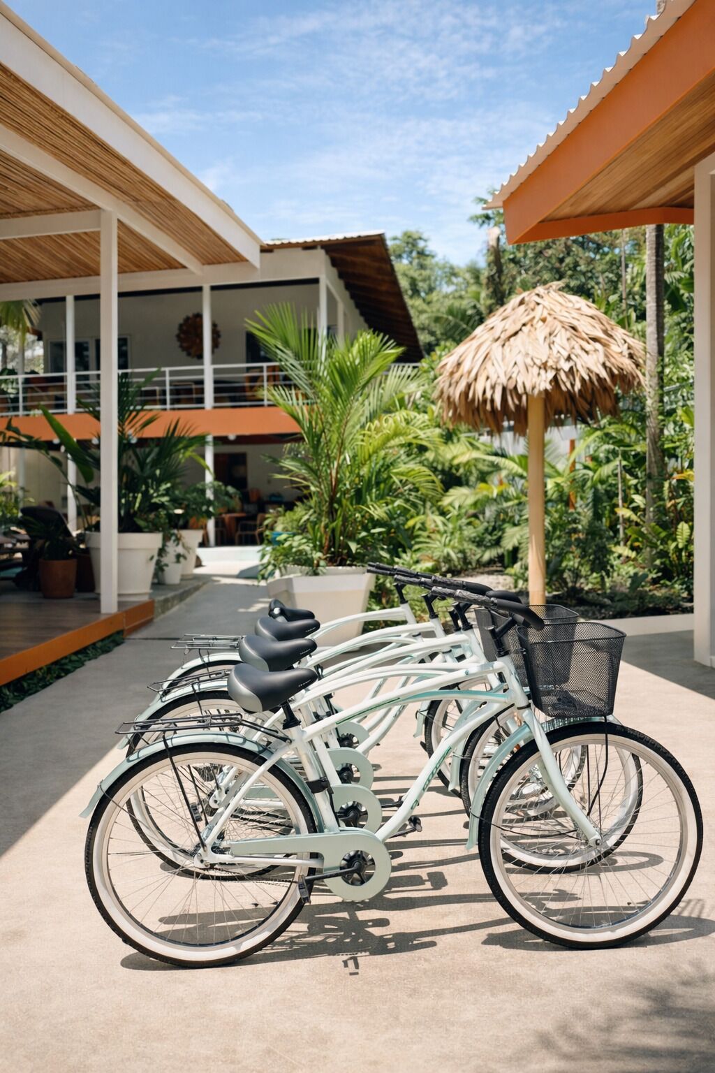A row of bicycles parked under a shaded area with a thatched roof, surrounded by lush greenery and a building with a white facade.