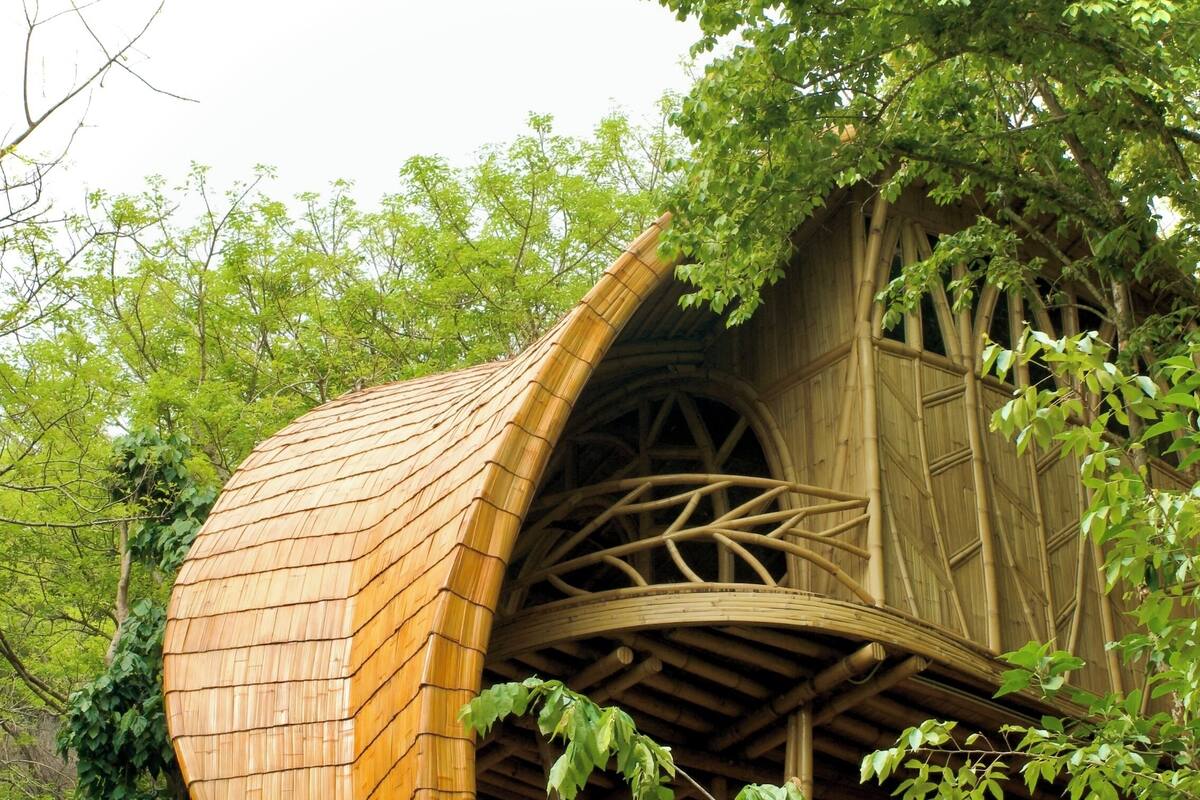 Treehouse Hideaway | ミニバー、セーフティボックス (室内)、デスク、WiFi (無料)