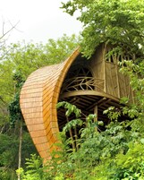A treehouse with a curved wooden roof, surrounded by dense foliage.