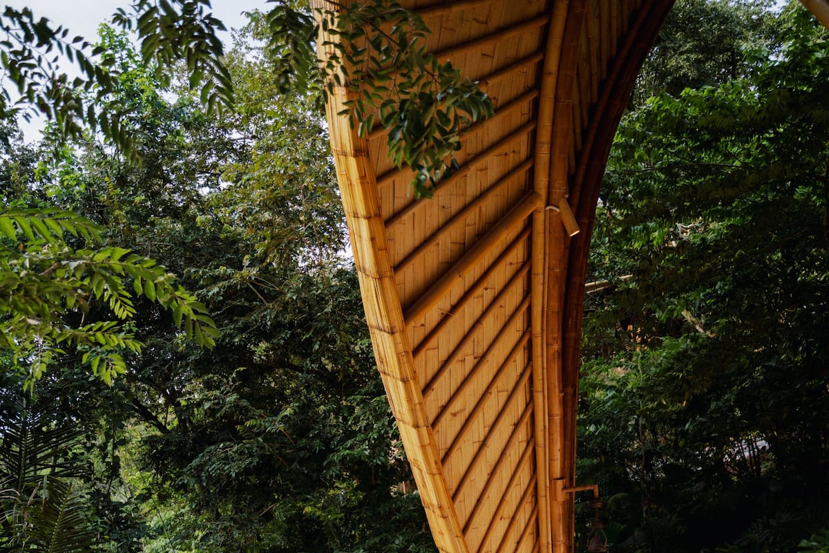 Signature Leaf Villa | 露台/庭院