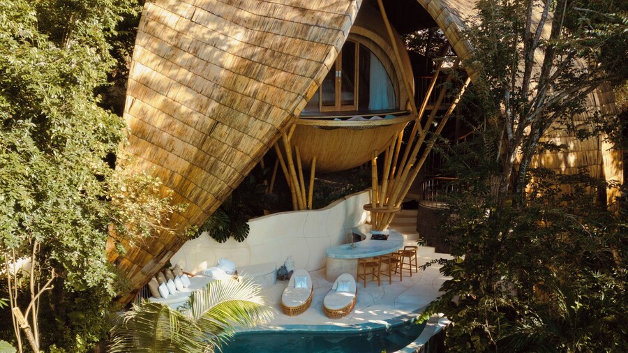 Cocoon Reserve