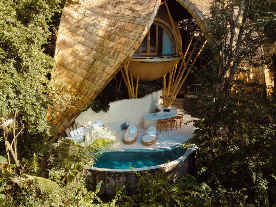 A treehouse with a circular window, a pool, and a dining area surrounded by dense foliage.