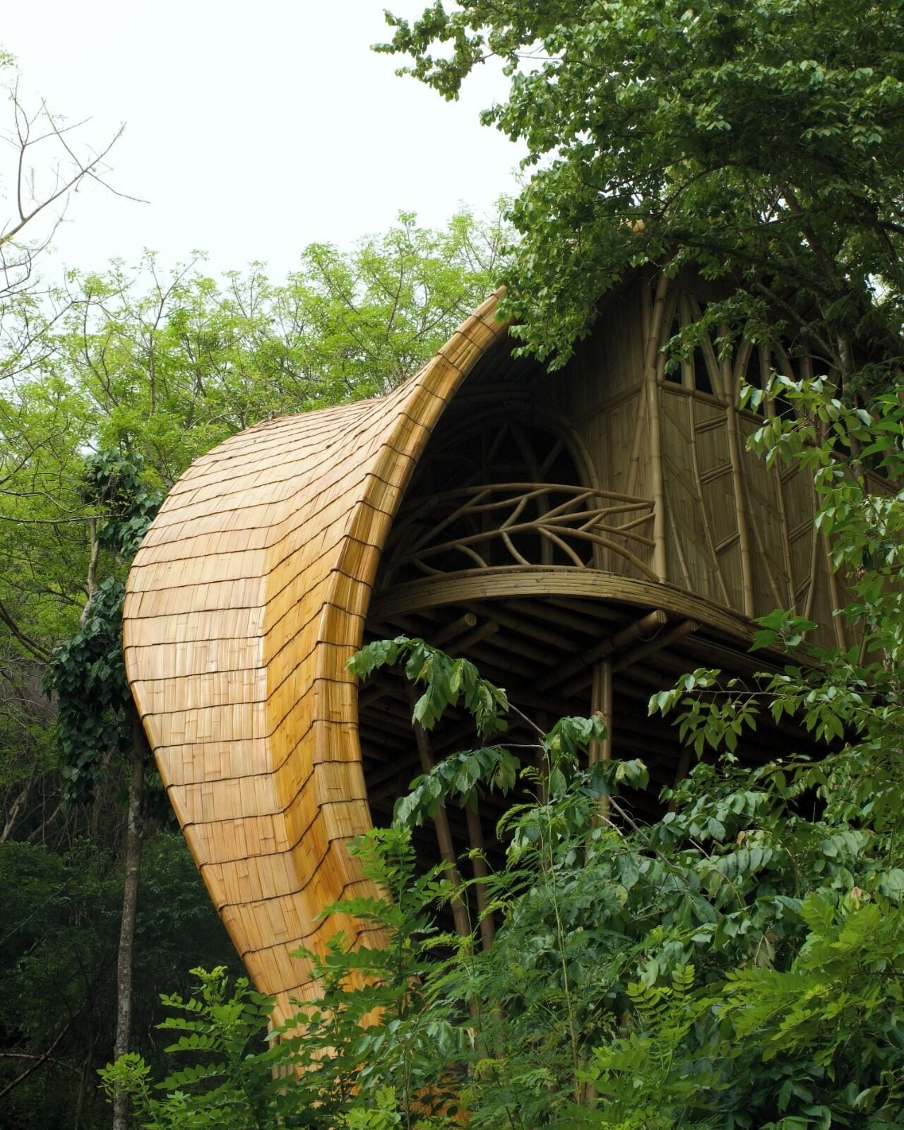 Treehouse Hideaway | Außendetails