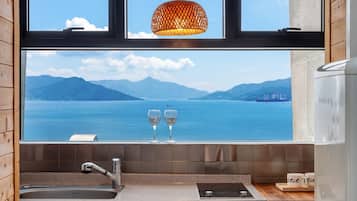 Basic Room, 1 Bedroom (Room 202 (Private Pool,Ocean View))