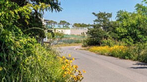 A curved road with dense greenery and yellow flowers on the side. - Gyeongju Sanmaru Pension (Gyeongju)