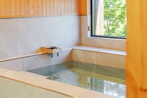 Basic Room, 1 Bedroom (Room 102 (Jacuzzi))