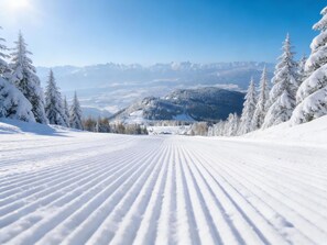 Wintersport/Ski