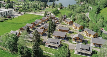 Chalet avec sauna prĂšs des stations de ski
