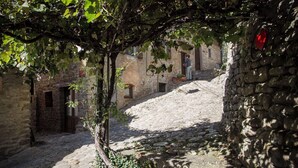Una estrecha calle adoquinada flanqueada por edificios de piedra con arcos en las puertas y ventanas.