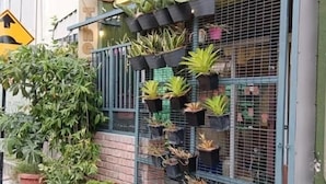 A storefront with a metal gate, various potted plants, and a sign that reads "GREEN HEAD." - K INN 55 (George Town)
