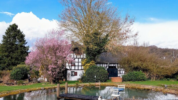 A traditional house with a garden pond, a wooden dock, and a gazebo. - Historic half-timbered house from the 18th century, listed building (Hennef)