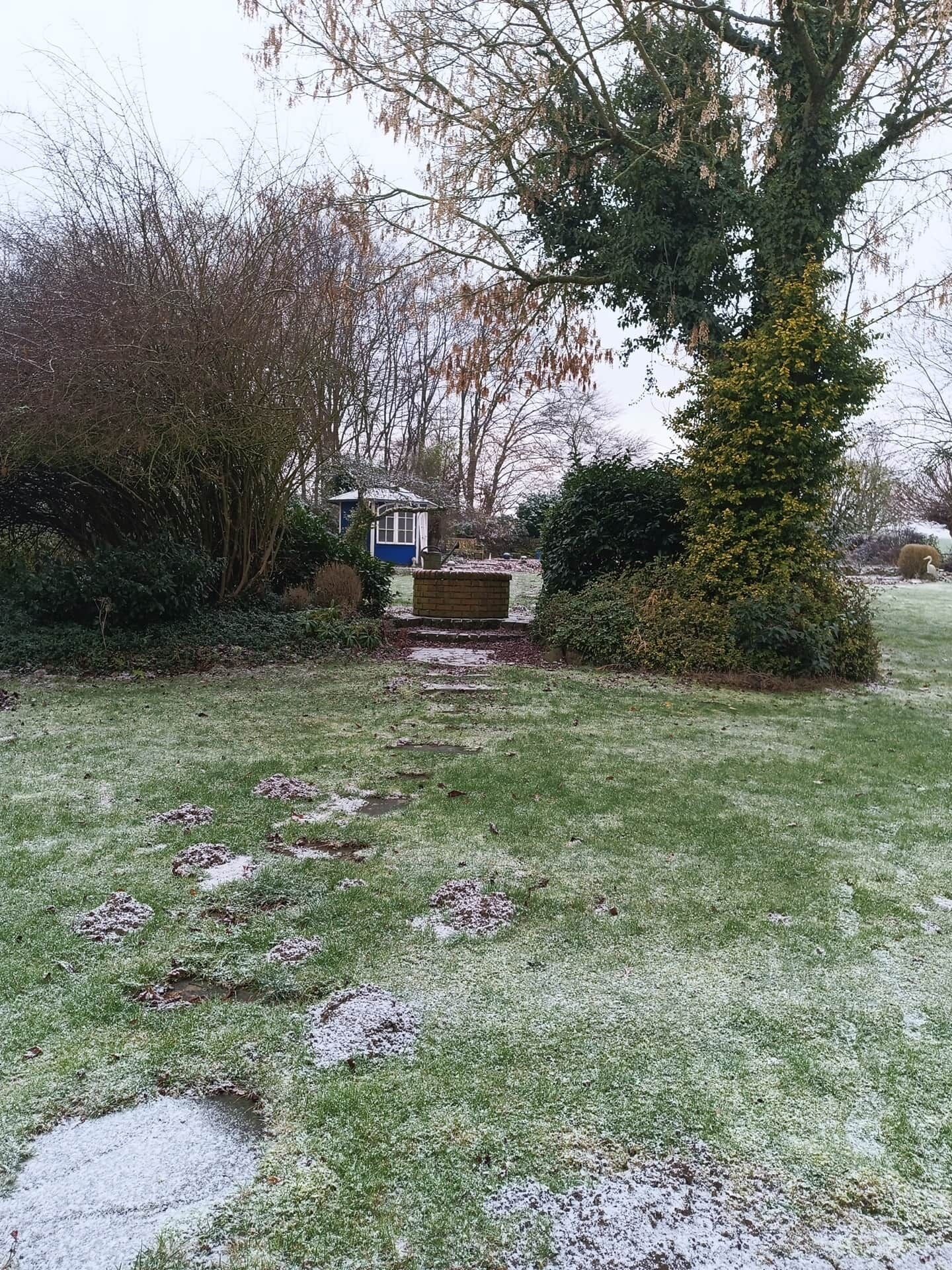 A garden with a small pond, a wooden bench, and a shed.