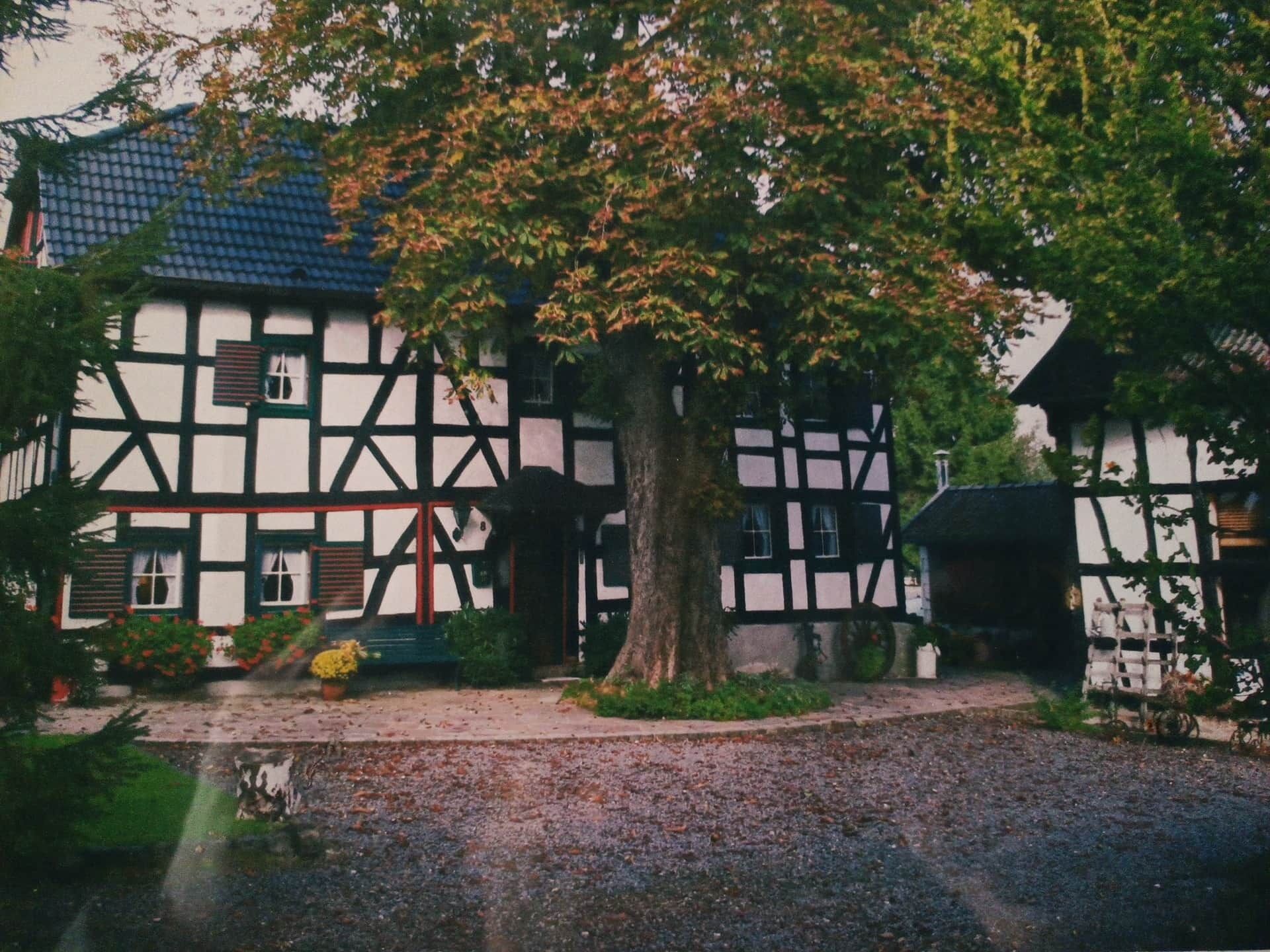 A traditional half-timbered building with a gravel driveway and a large tree in front.