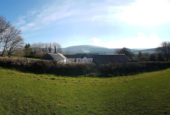 Un paysage rural avec une maison entourée de haies et un champ d’herbe.