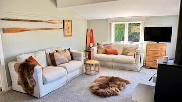 Smart TV, fireplace, books