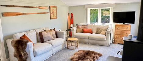 Smart TV, fireplace, books