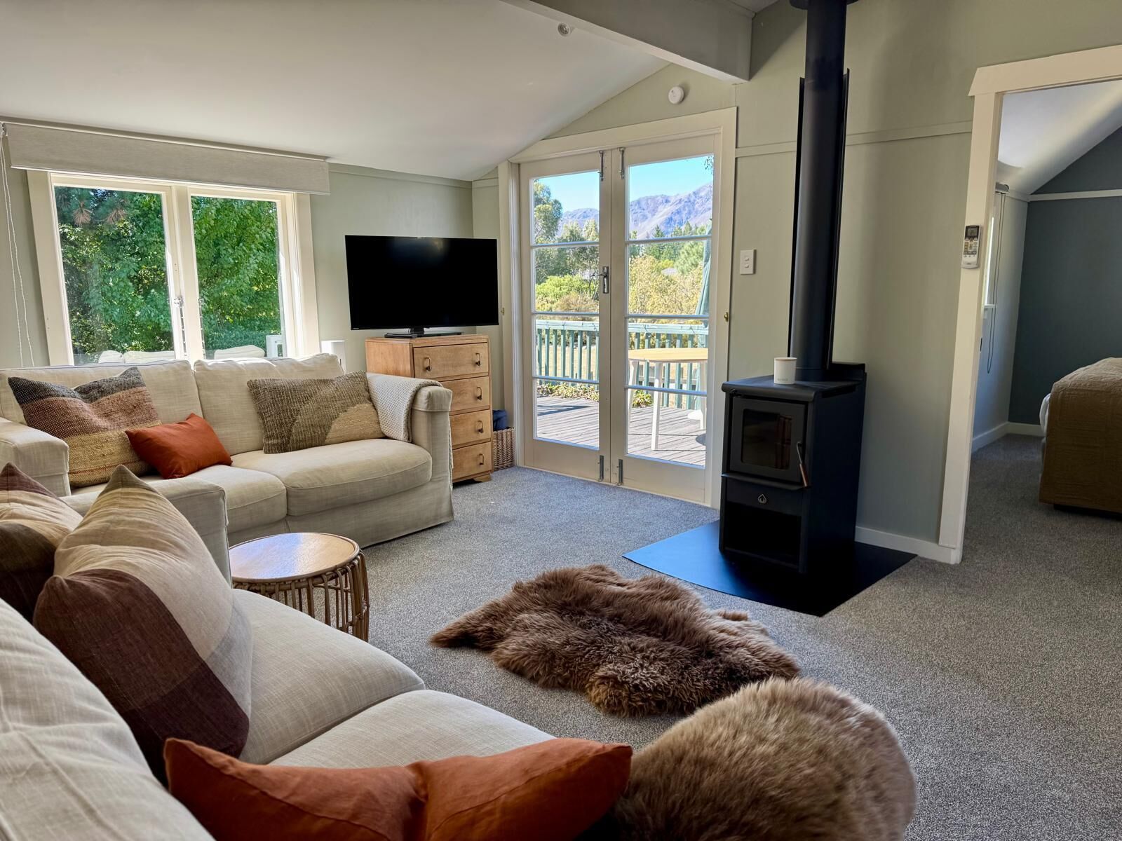 Smart TV, fireplace, books