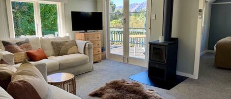 Smart TV, fireplace, books