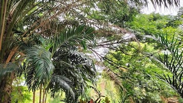 施設からの眺望